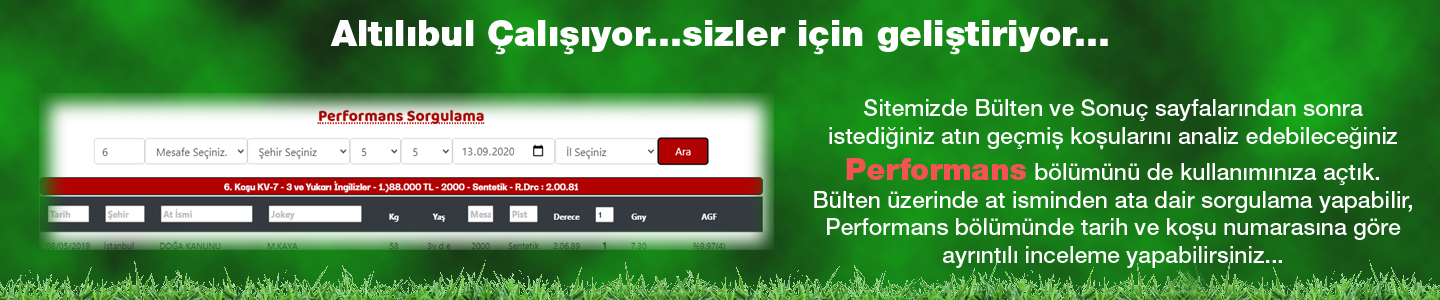 performans2.jpg